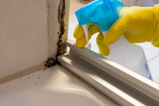 Best Crawl Space Mold Removal  in Fountainebleau, FL