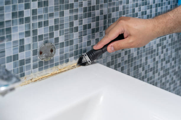 Best Mold Inspection  in Fountainebleau, FL