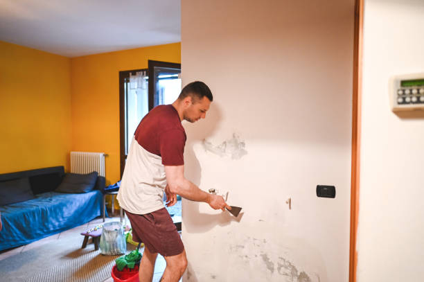 Best Office Mold Removal Services  in Fountainebleau, FL